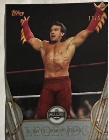 Ricky 'The Dragon' Steamboat [Silver] #42