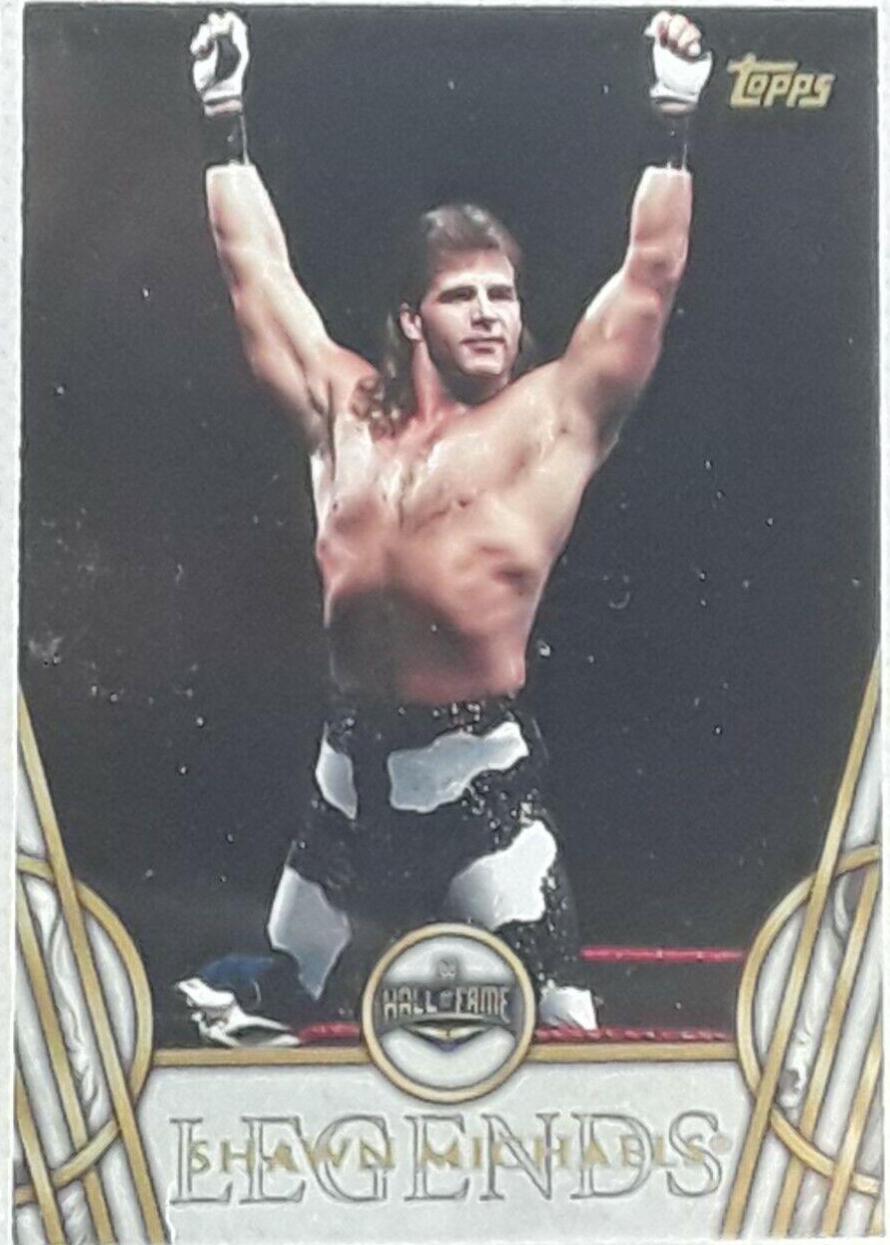 Shawn Michaels #45