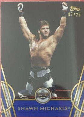 Shawn Michaels [Blue] #45