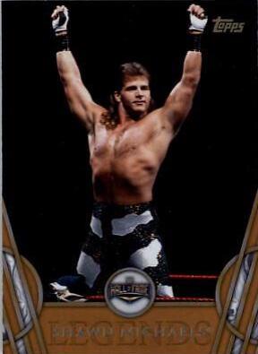 Shawn Michaels [Bronze] #45