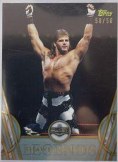 Shawn Michaels [Silver] #45