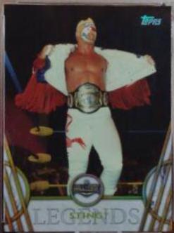 Sting #48