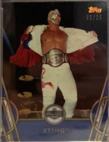 Sting [Blue] #48