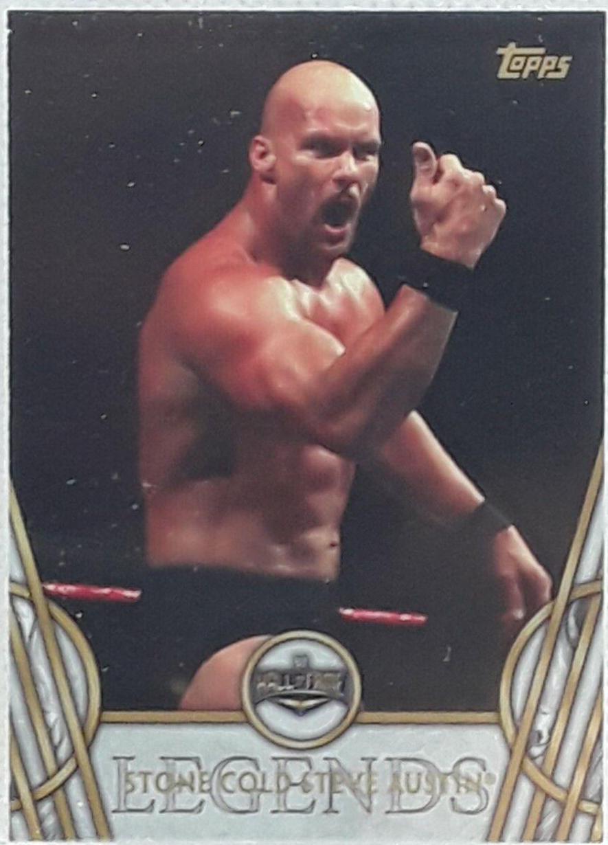 Stone Cold Steve Austin #49