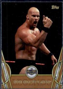 Stone Cold Steve Austin [Bronze] #49