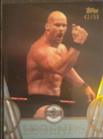 Stone Cold Steve Austin [Silver] #49