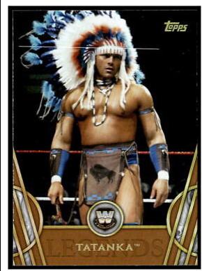 Tatanka [Bronze] #50