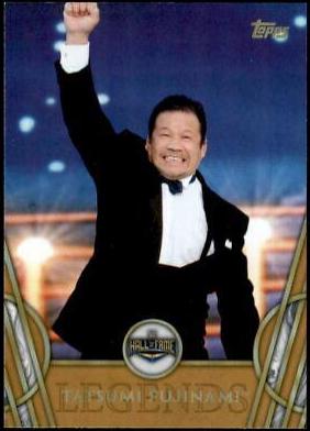 Tatsumi Fujinami [Bronze] #51