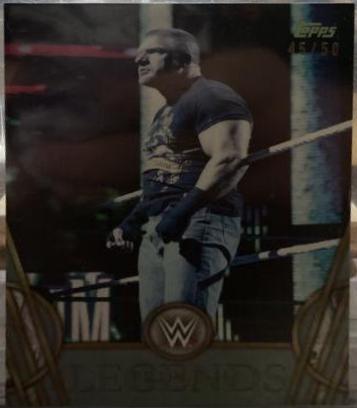 Triple H [Silver] #70