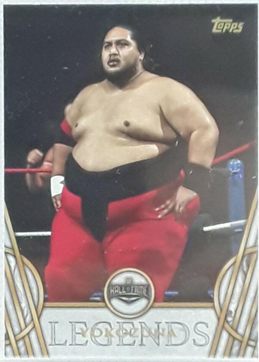Yokozuna #55