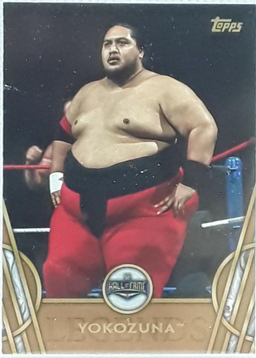 Yokozuna [Bronze] #55