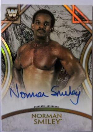 Norman Smiley #A-NS