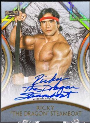Ricky 'The Dragon' Steamboat [Silver] #A-RS