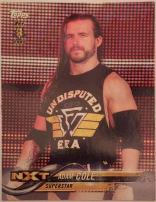 Adam Cole #1