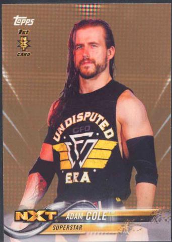 Adam Cole [Bronze] #1