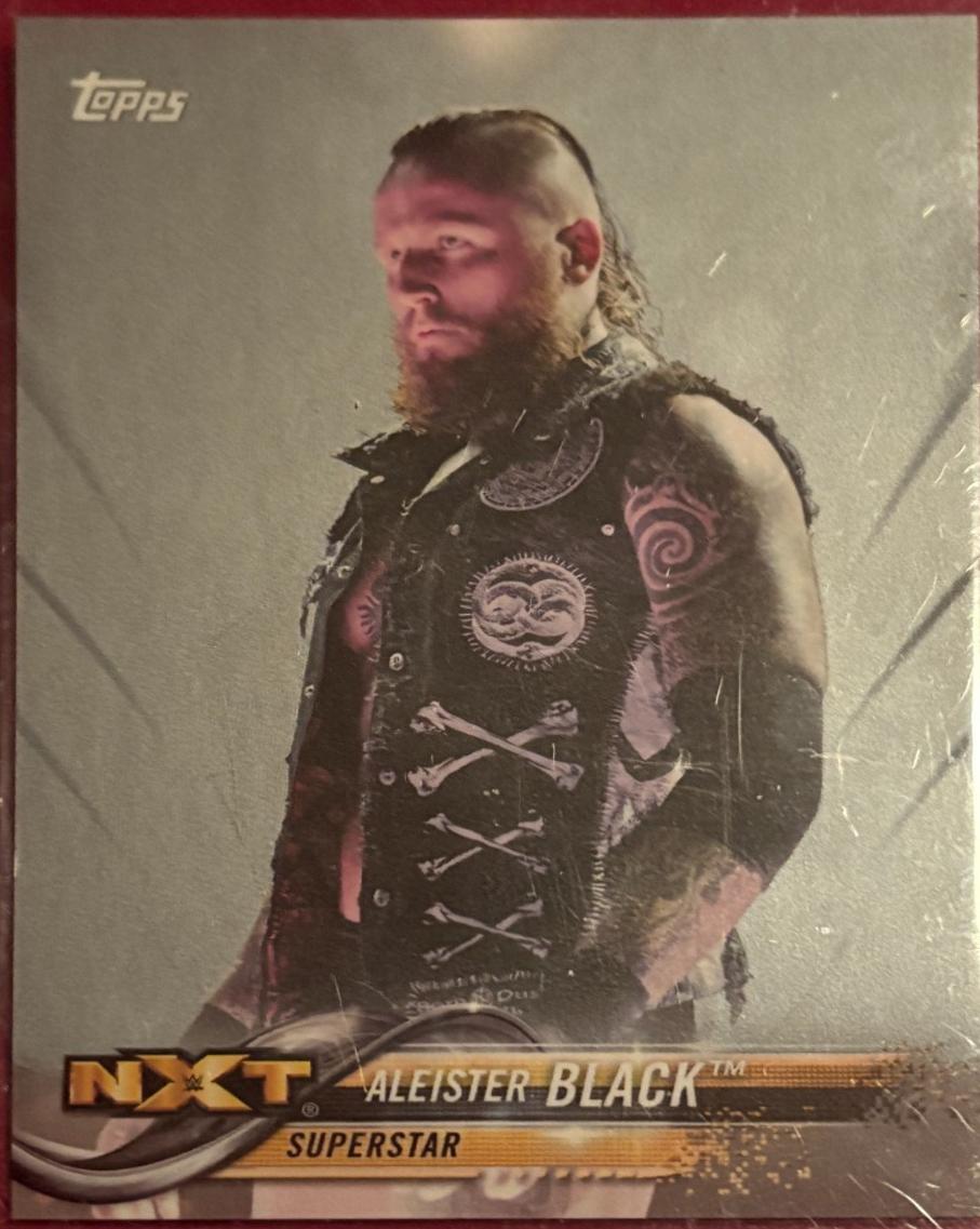 Aleister Black [Silver] #5
