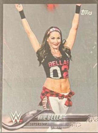 Brie Bella [Silver] #18