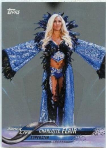Charlotte Flair [Silver] #24
