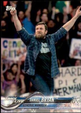 Daniel Bryan #28