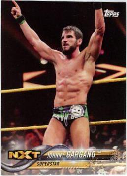 Johnny Gargano #44