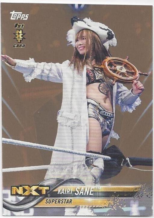Kairi Sane [Bronze] #45