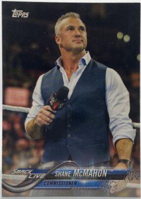Shane McMahon #82