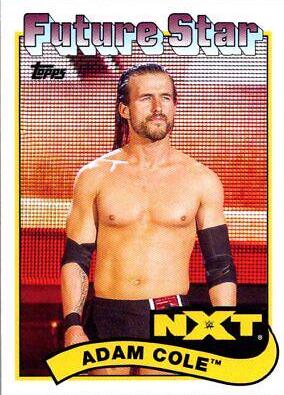 Adam Cole #91