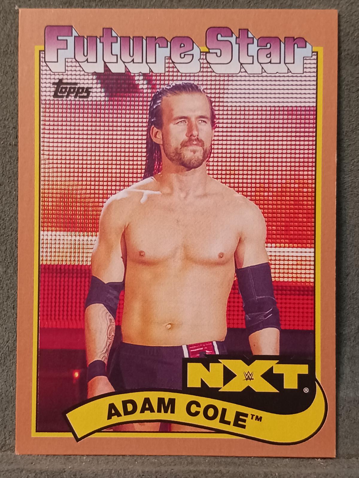Adam Cole [Bronze] #91