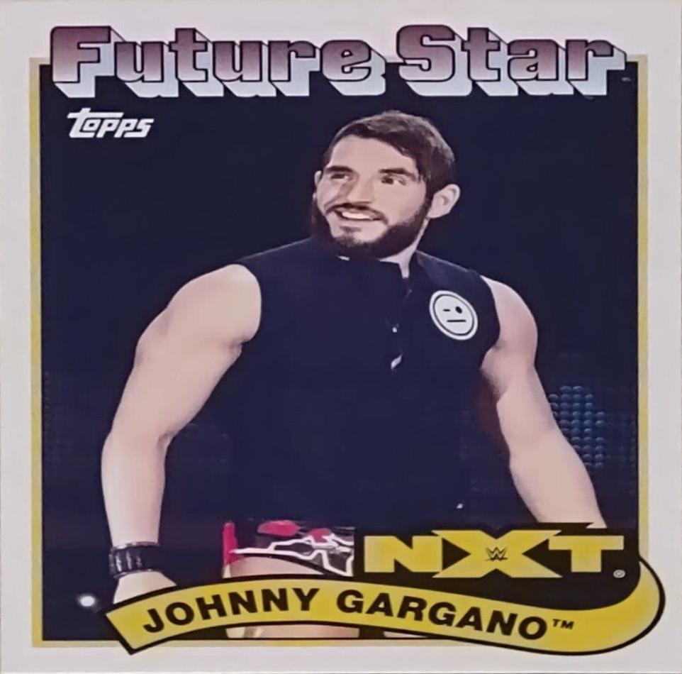 Johnny Gargano #100