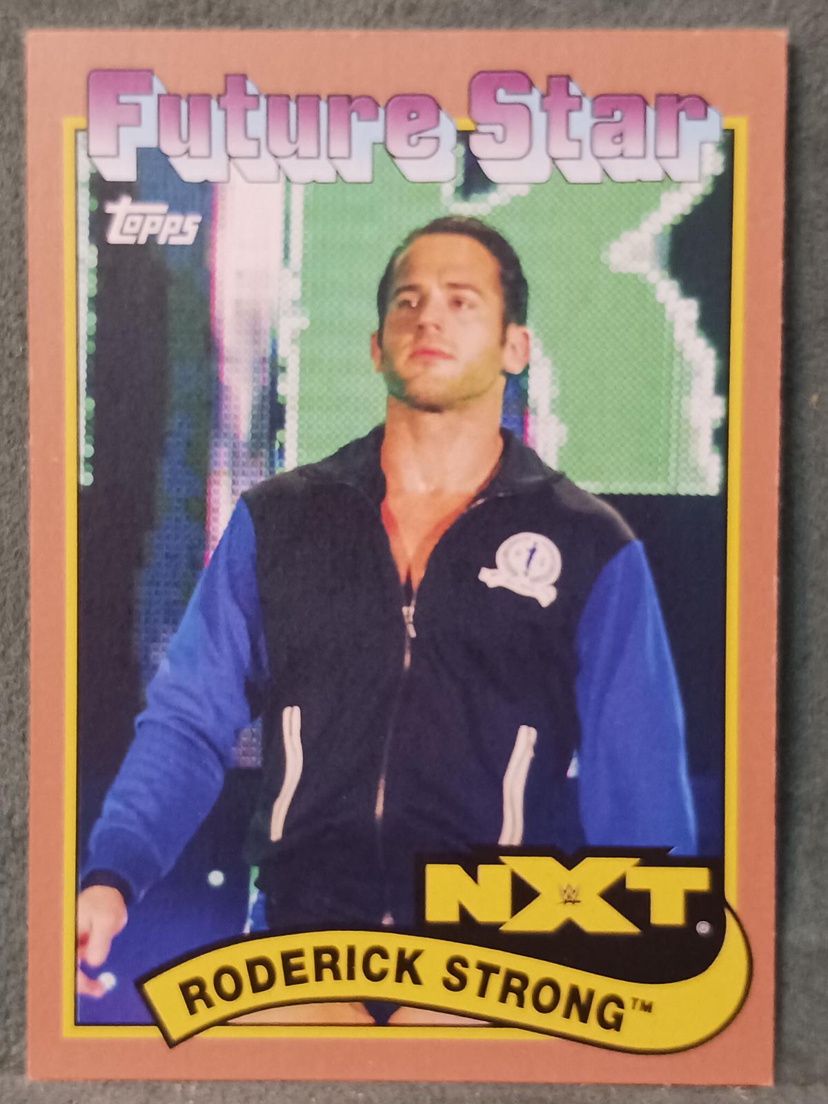 Roderick Strong [Bronze] #108