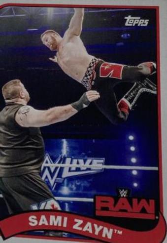 Sami Zayn #66