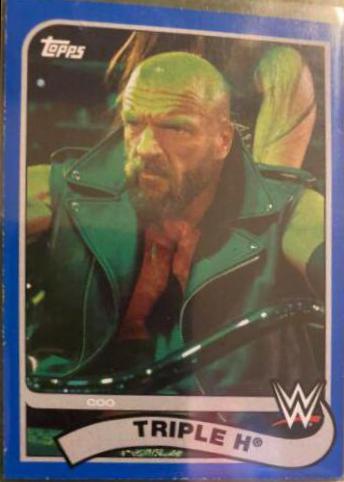 Triple H [Blue] #84