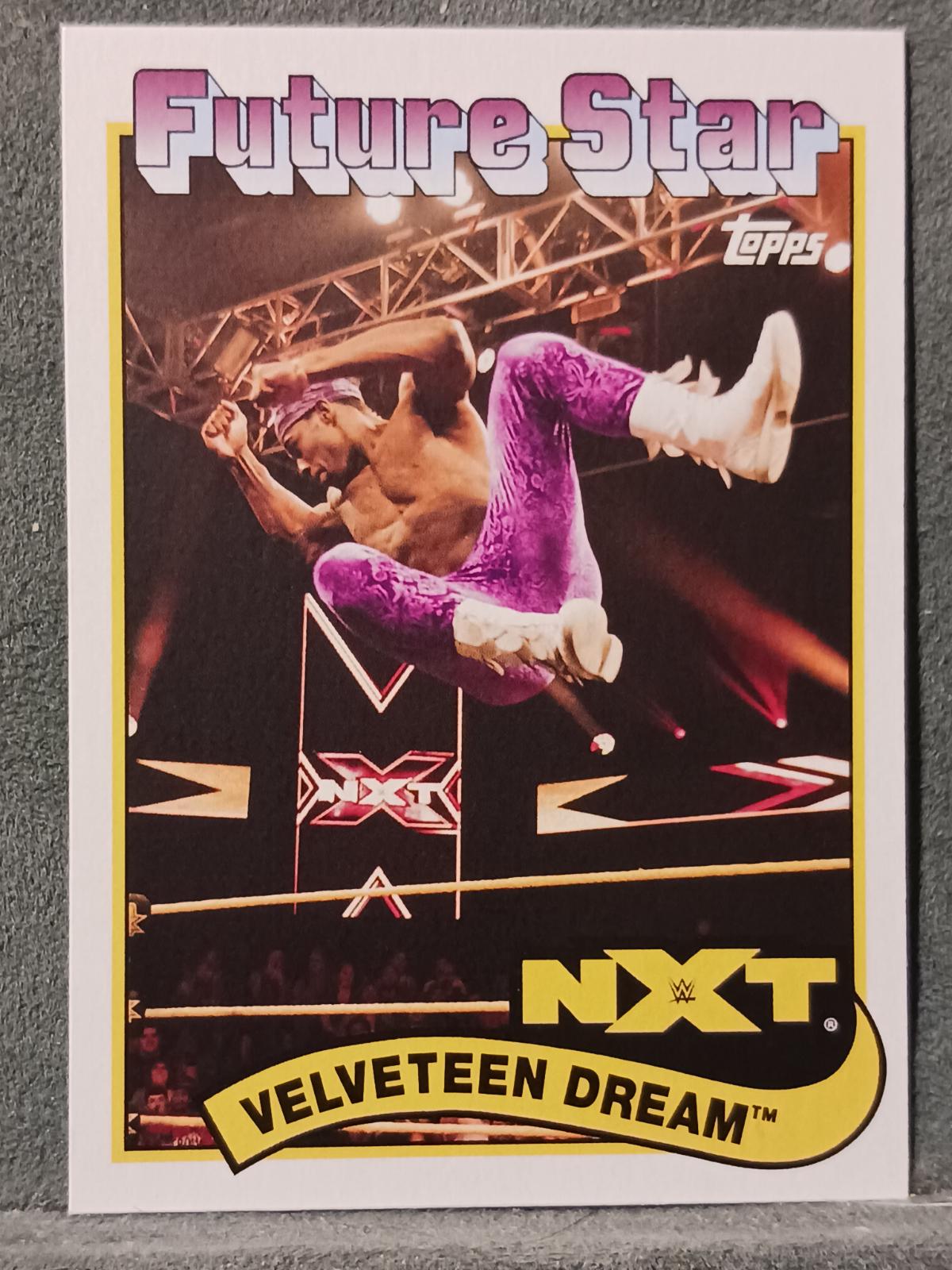 Velveteen Dream #110