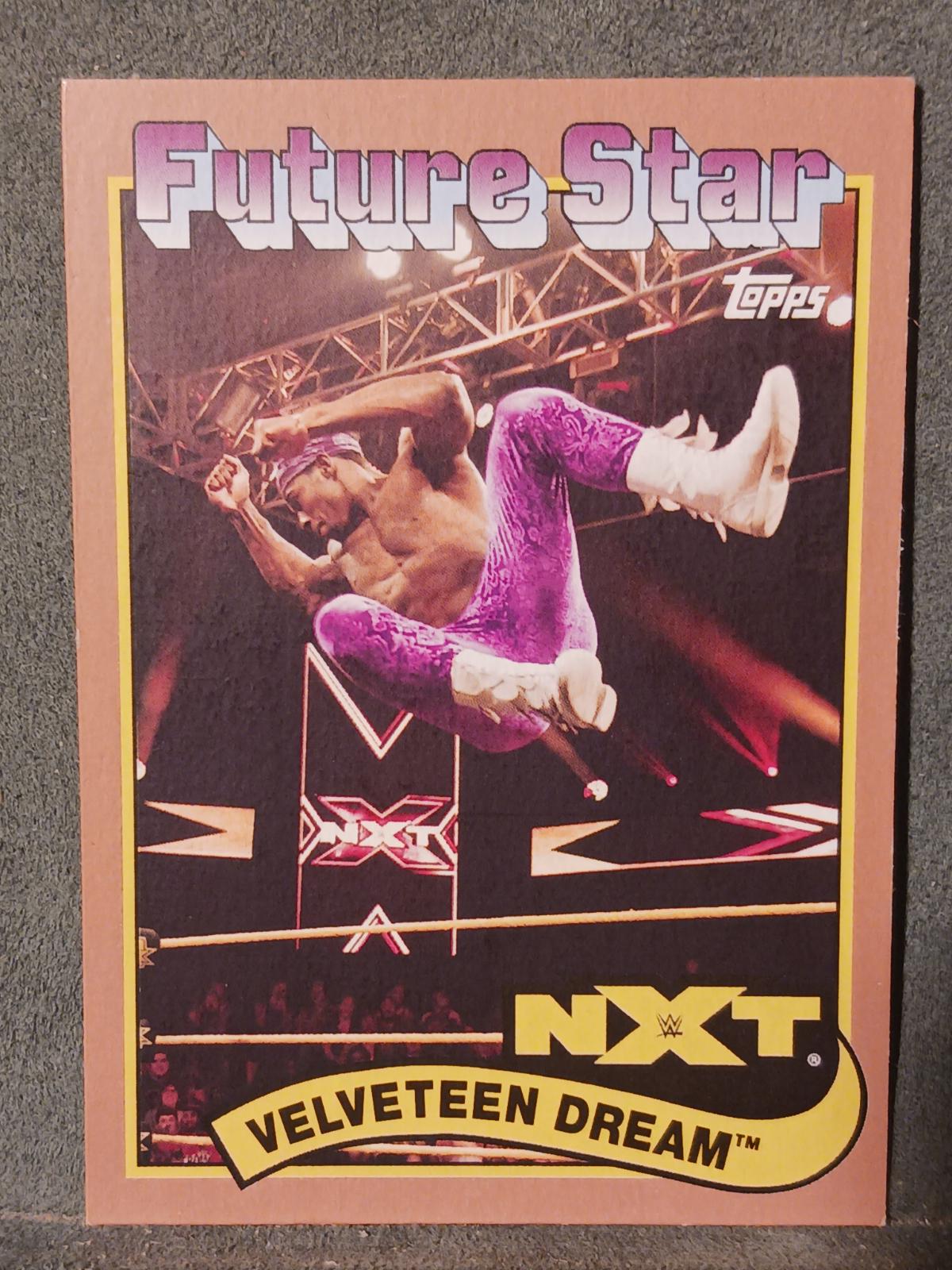 Velveteen Dream [Bronze] #110