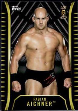 Fabian Aichner [Silver] #R-12