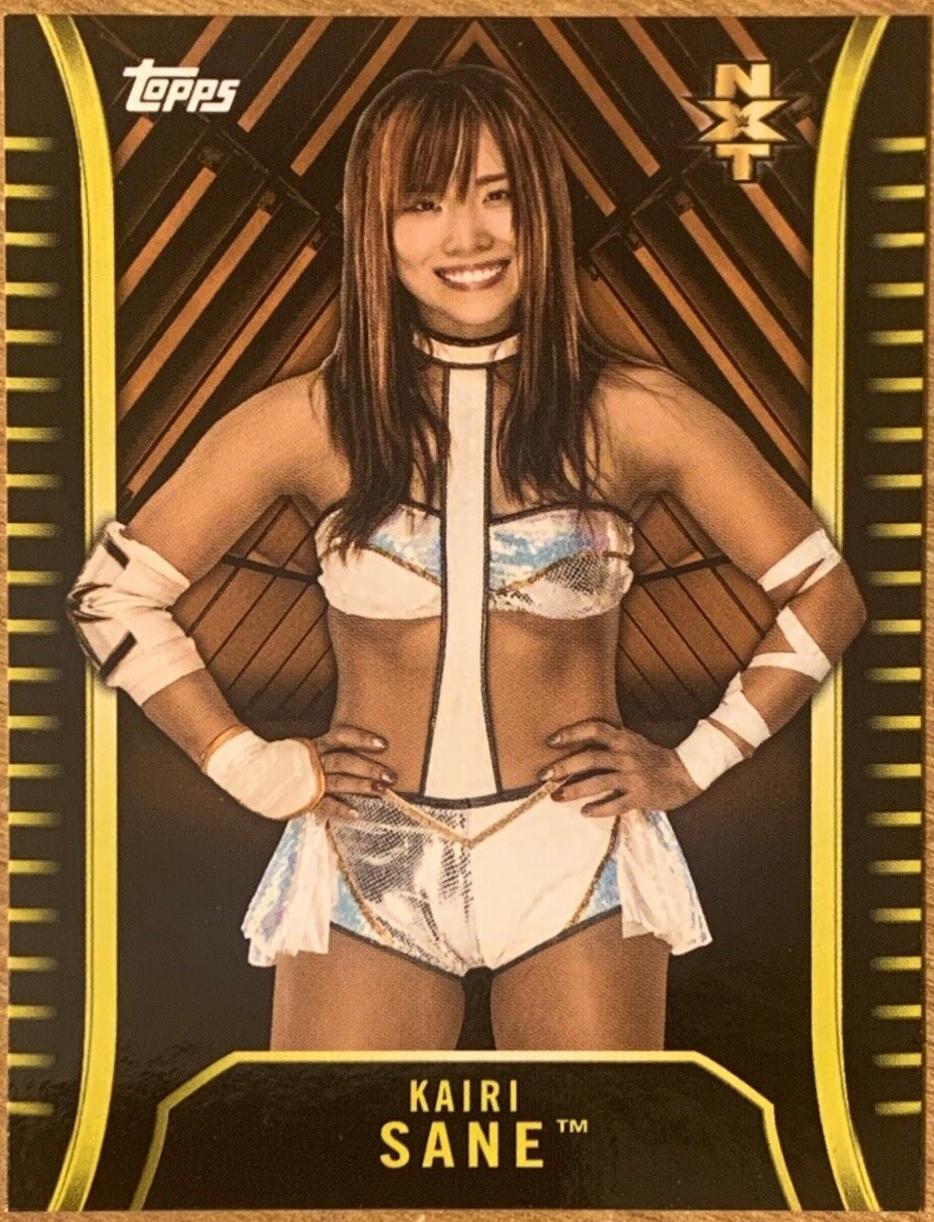 Kairi Sane [Bronze] #R-41