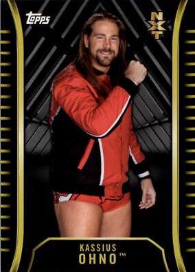 Kassius Ohno [Silver] #R-14