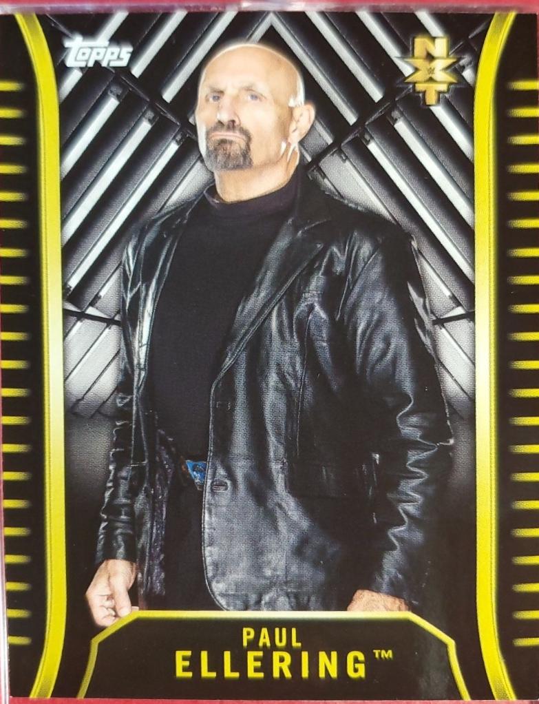 Paul Ellering #R-24