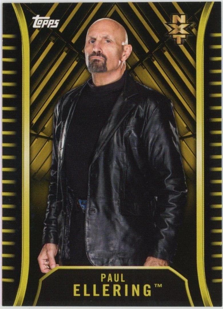 Paul Ellering [Gold] #R-24