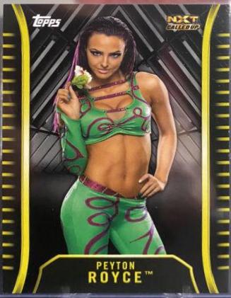 Peyton Royce [Silver] #R-44