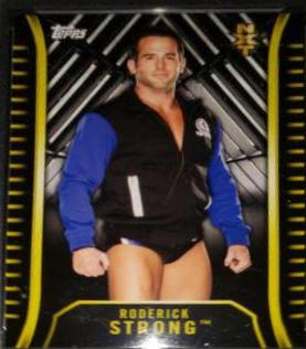 Roderick Strong #R-28
