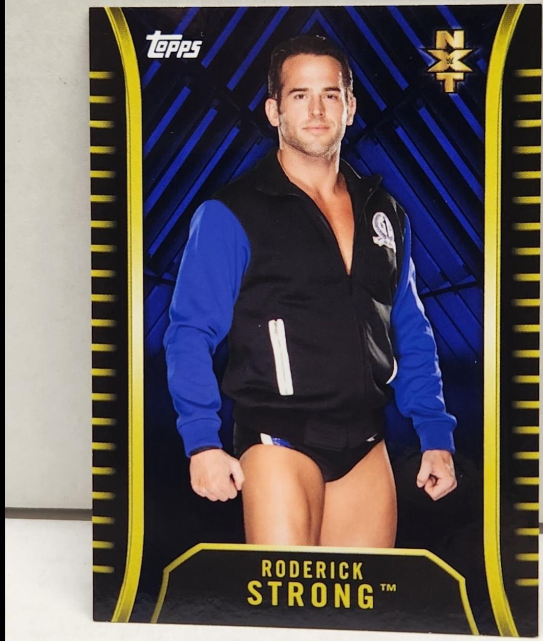 Roderick Strong [Blue] #R-28