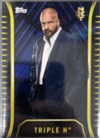 Triple H [Blue] #R-50