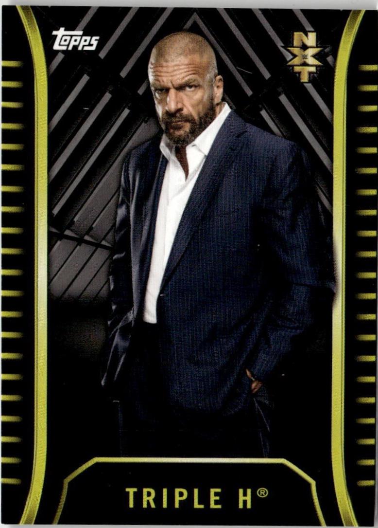 Triple H [Silver] #R-50