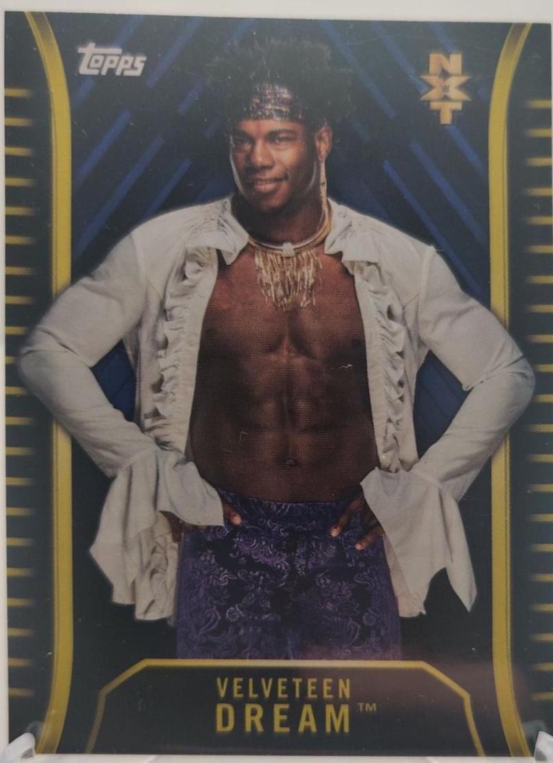Velveteen Dream [Blue] #R-35