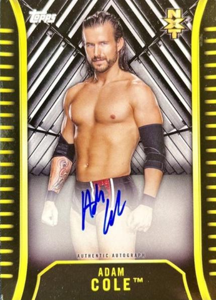 Adam Cole #A-AC