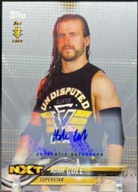 Adam Cole [Silver] #A-AC