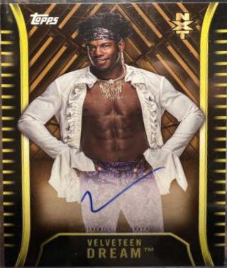 Velveteen Dream [Bronze] #A-VD
