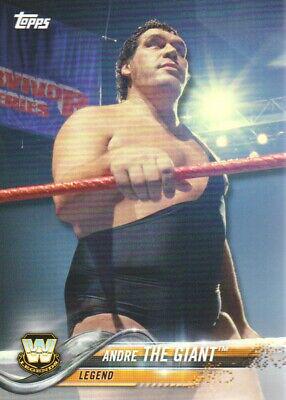 Andre the Giant #188