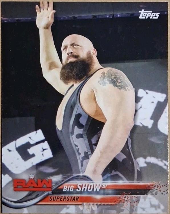 Big Show #110